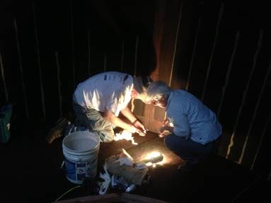 Men working